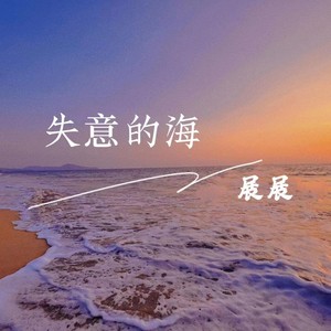 失意的海