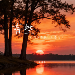 有些（难过夹带陌生的感觉）封面