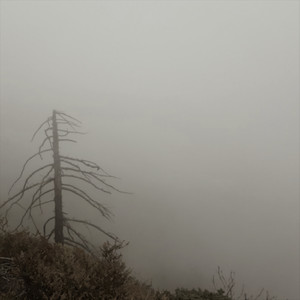 Searching(feat. Sarah Wallin)