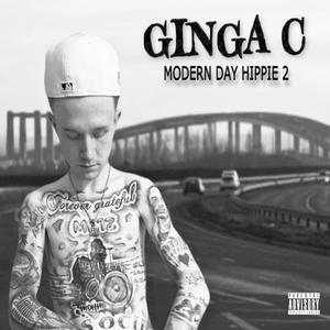 Modern Day Hippie 2 (Explicit)