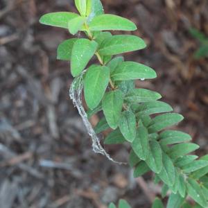 throw away your hope (Explicit)