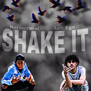 Shake It (feat. NoLimitMiel) [Explicit]