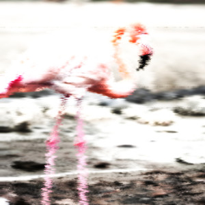 Tr1angular S0m3th1ng