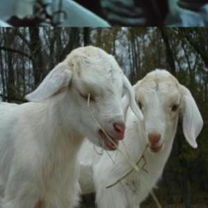 s0cky - uppy yeah, uppy yeah