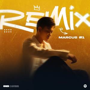 Chẳng Thể Đến Cuối Cùng (Vmix)