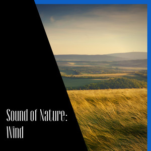 Sound of Nature: Wind