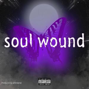 Soul wound (feat. Panah) [Explicit]