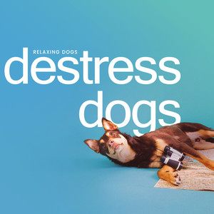 Destress Dogs