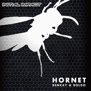 HORNET (BENKAY & BOLDO Remix)