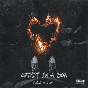 Spirit In a Box (Explicit)