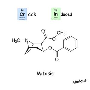 Crack Induced Mitosis (Explicit)
