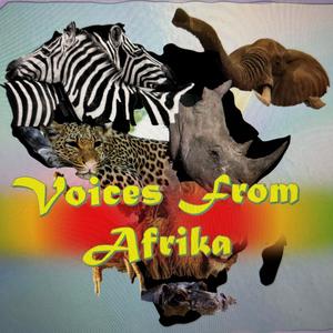 Voices From Afrika