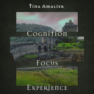 Cognition, Focus, Experience