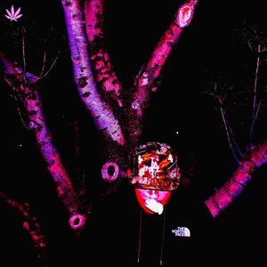 Young Guns (Explicit)