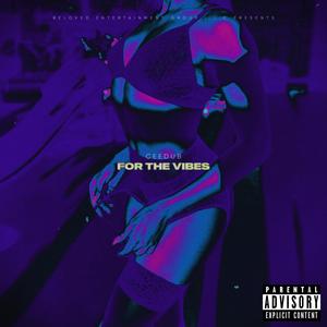 For The Vibes (Explicit)