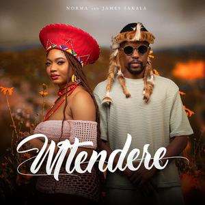 Mtendere (Peace) (feat. James Sakala)