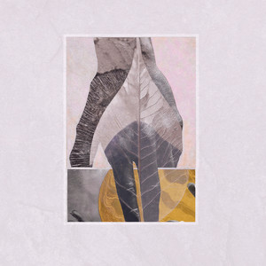 The Blue and the Dim