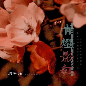 青灯影红——记《夜阑京华》