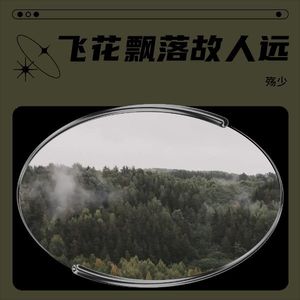 飞花飘落故人远