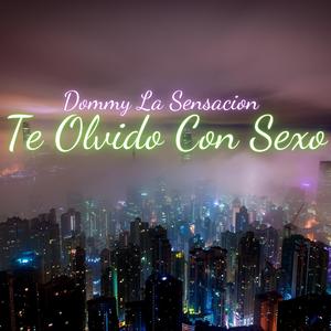 Te Olvido Con Sexo (Remix)