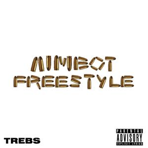 AIMBOT FREESTYLE (Explicit)