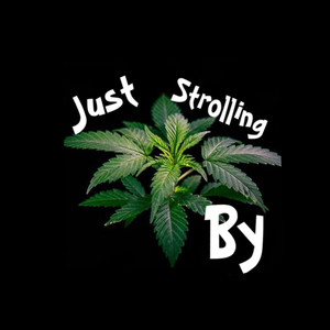 Just Strolling By (Explicit)