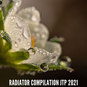 RADIATOR COMPILATION JTP 2021