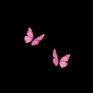 Maliyah's Interlude (Explicit)