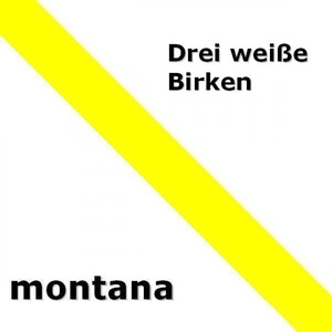 Drei weiße Birken