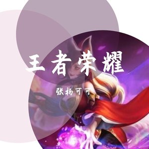 王者荣耀 (DJ咚鼓版)