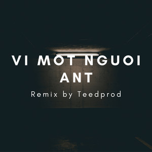 Vì Một Người (TeeD Remix)