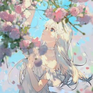 夏天的风