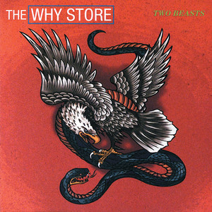 The Why Store - Manic Man