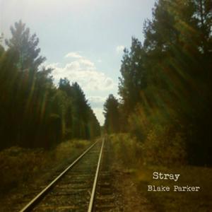 Stray (Demo Version)