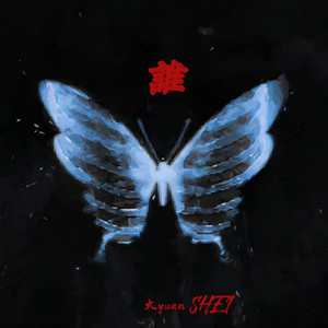 遗憾是-大yuan