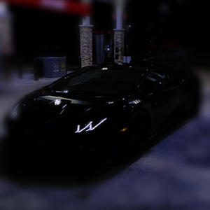 suicide doors (Explicit)