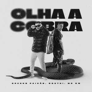 Olha a Cobra (Explicit)
