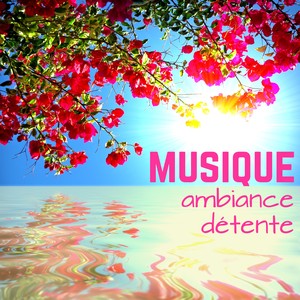 Musique Ambiance Détente – Musicothérapie pour Relaxation et Sophrologie à la Maison