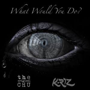 What Would You Do(feat. K-Riz)