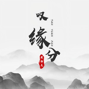 叹缘分 (DJ.House版)封面