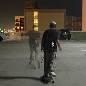 FAKE CRAB FAKE FRIEND