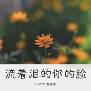 流着泪的你的脸