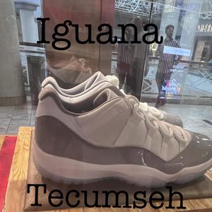 Iguana (Explicit)