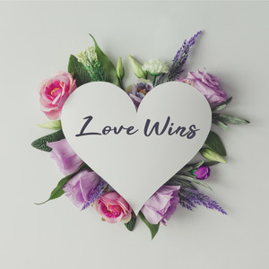 Love Wins (Electronic Selection)