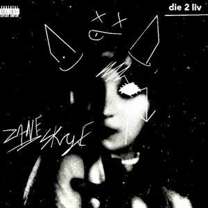 Kink (feat. Tyxonsmith) (Explicit)