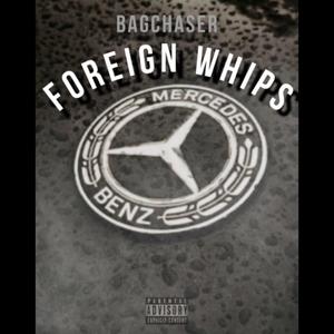 Foreign whips (Explicit)