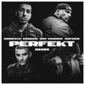 Perfekt (Remix|Explicit)