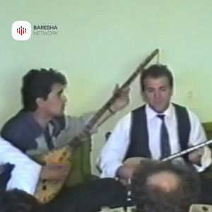 Qe jan kta krushq qe s’nalin rrugen