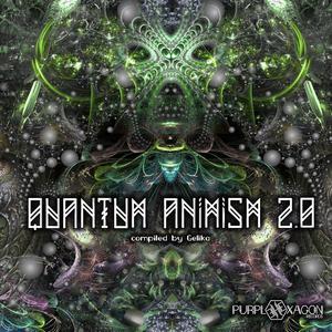 Quantum Animism 2.0