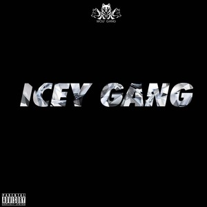 Icey Gang (Explicit)